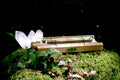 Energy Chime Triple - SchradeGlas